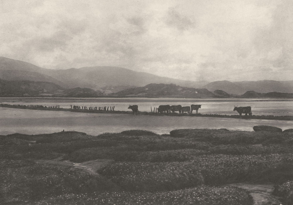 WALES. The Dovey at Ynyslas 1901 old antique vintage print picture